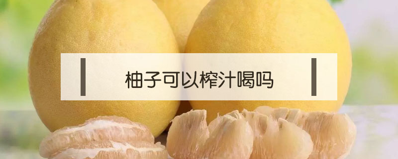 柚子可以榨汁喝吗