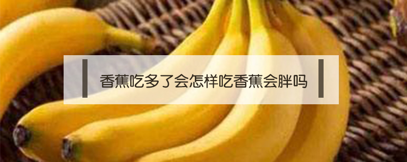 香蕉吃多了会怎样吃香蕉会胖吗