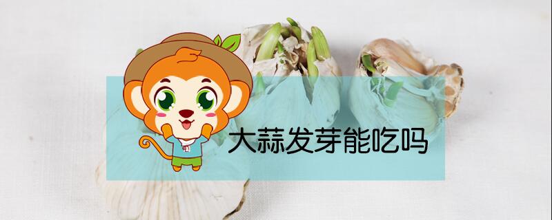 大蒜发芽能吃吗