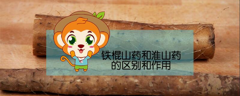 铁棍山药和淮山药的区别和作用