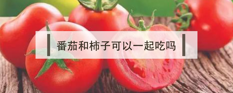 番茄和柿子可以一起吃吗
