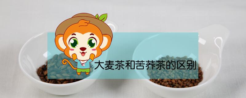 大麦茶和苦荞茶的区别