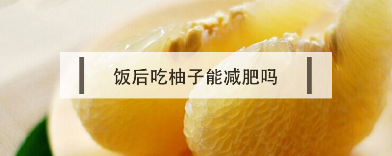 饭后吃柚子能减肥吗