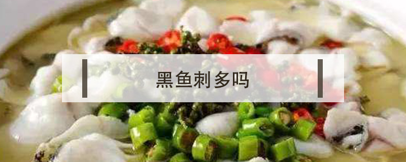 黑鱼刺多吗