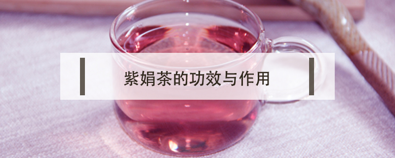 紫娟茶的功效与作用