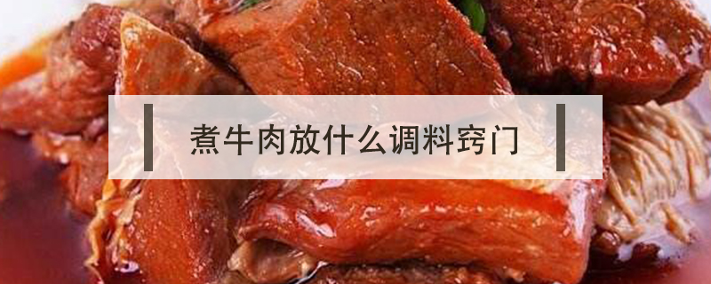 煮牛肉放什么调料窍门