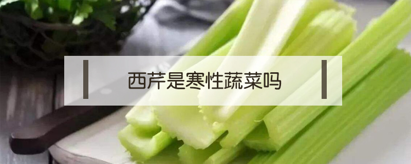 西芹是寒性蔬菜吗