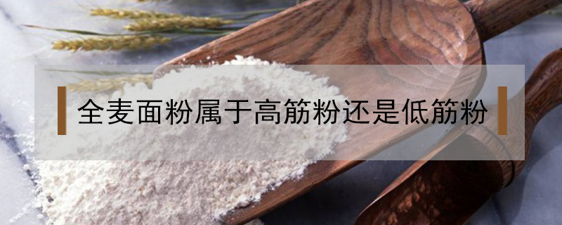 全麦面粉属于高筋粉还是低筋粉