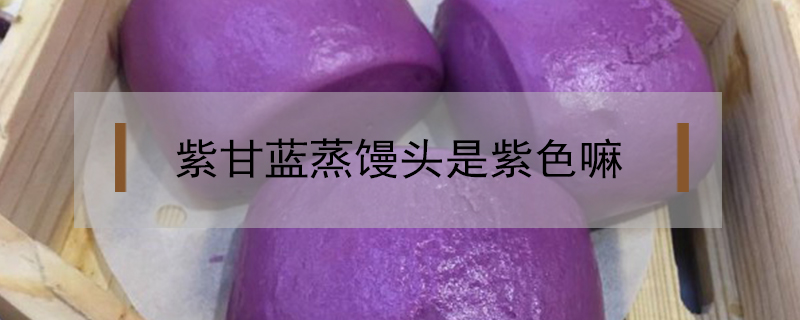 紫甘蓝蒸馒头是紫色嘛