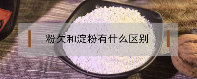 粉欠和淀粉有什么区别