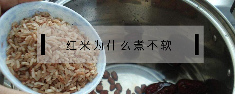 红米为什么煮不软