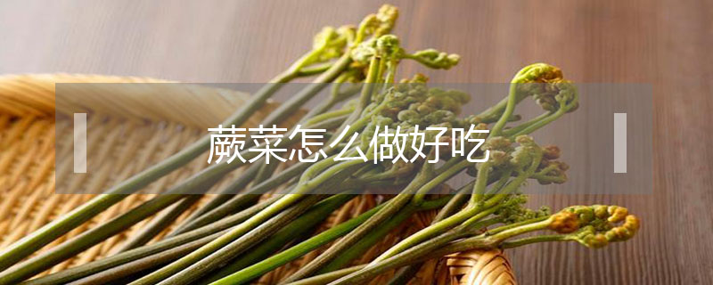 蕨菜怎么做好吃