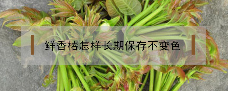 鲜香椿怎样长期保存不变色