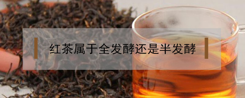 红茶属于全发酵还是半发酵