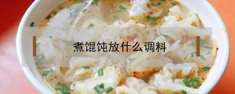 煮馄饨放什么调料