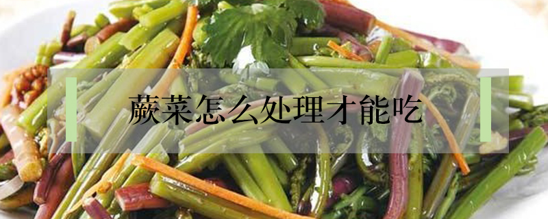 蕨菜怎么处理才能吃