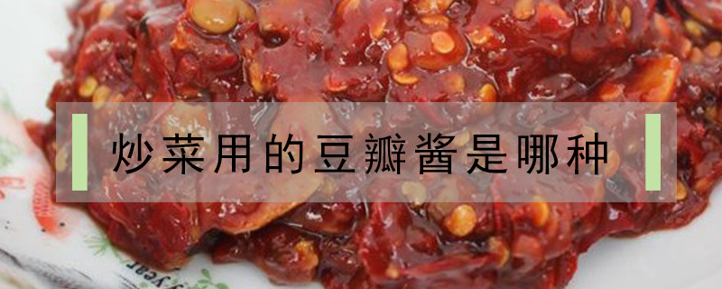 炒菜用的豆瓣酱是哪种