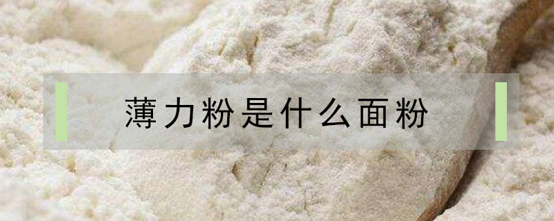 薄力粉是什么面粉