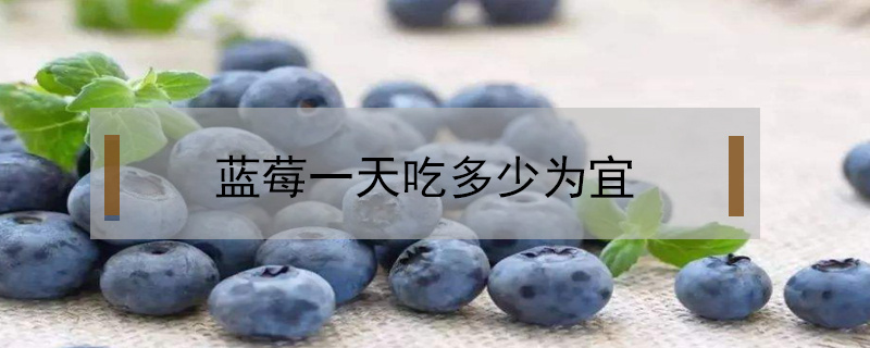 蓝莓一天吃多少为宜