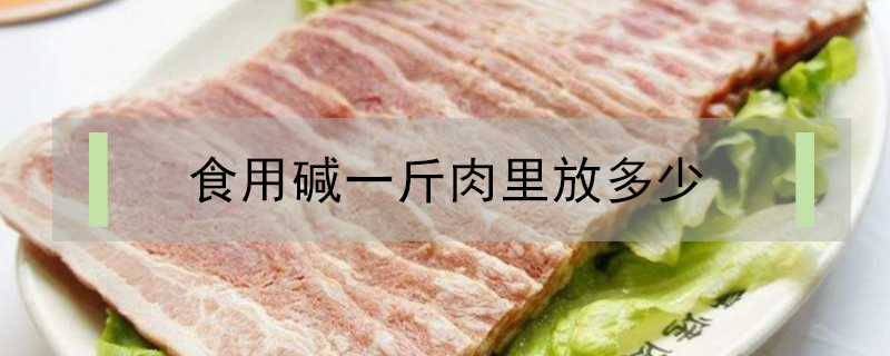 食用碱一斤肉里放多少