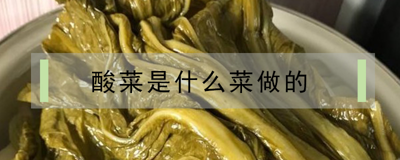 酸菜是什么菜做的