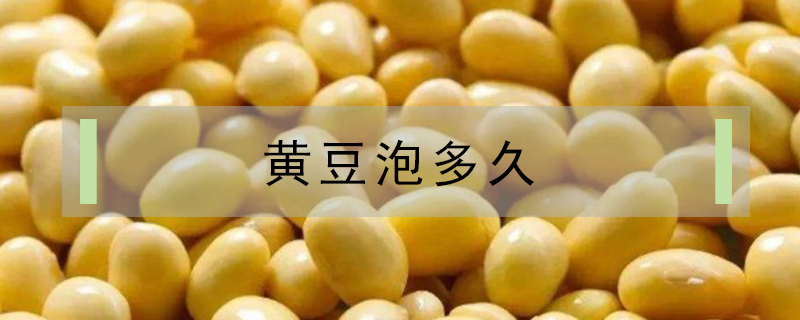 黄豆泡多久