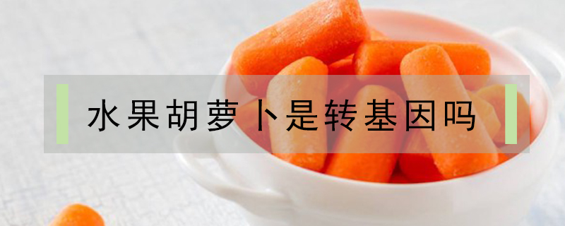 水果胡萝卜是转基因吗