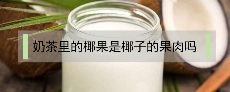 奶茶里的椰果是椰子的果肉吗