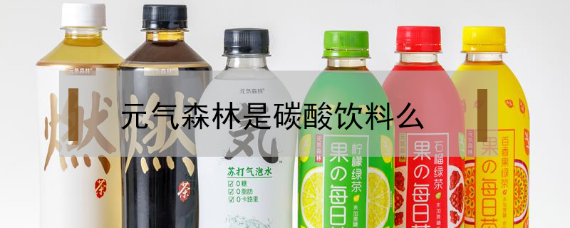 元气森林是碳酸饮料么