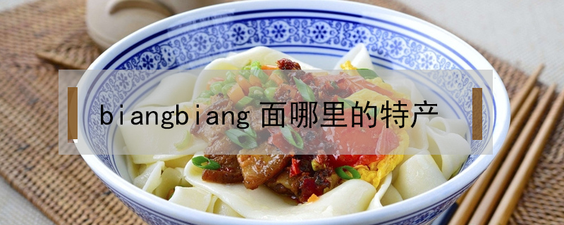 biangbiang面哪里的特产