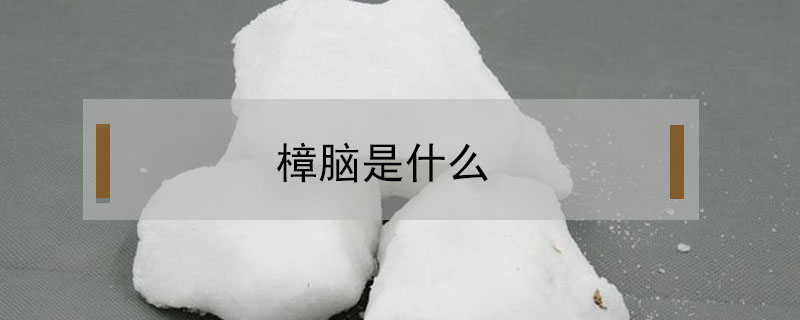 樟脑是什么