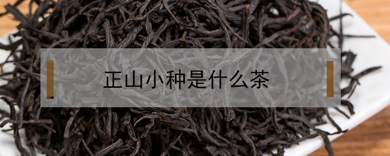 正山小种是什么茶