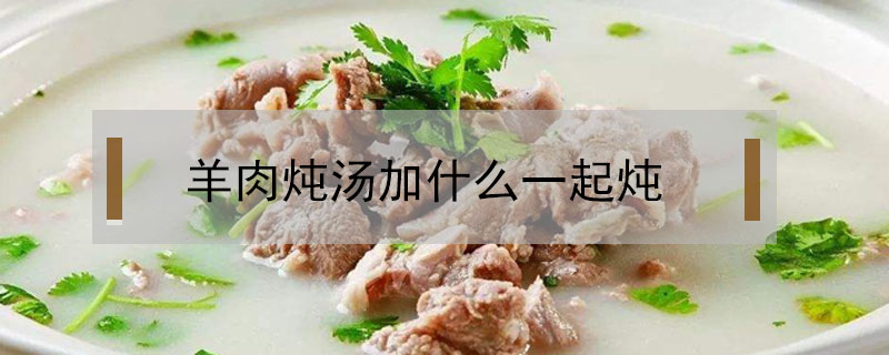 羊肉炖汤加什么一起炖