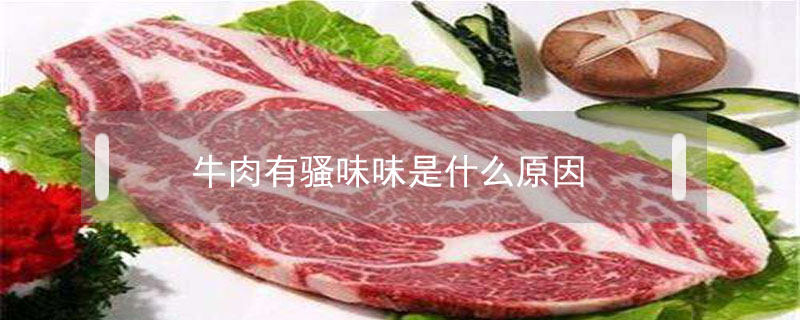 牛肉有骚味味是什么原因 鲜淘网