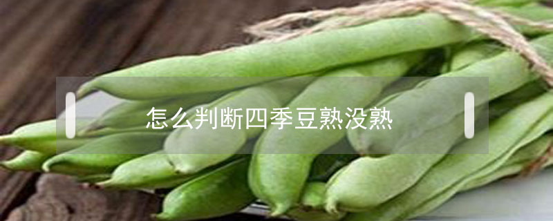 怎么判断四季豆熟没熟