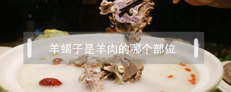 羊蝎子是羊肉的哪个部位