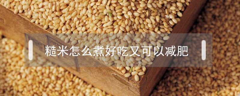 糙米怎么煮好吃又可以减肥