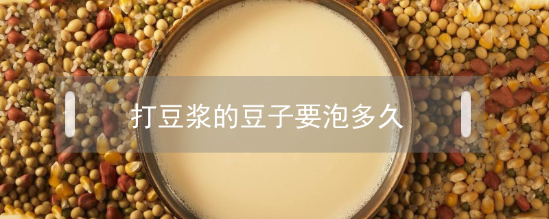 打豆浆的豆子要泡多久