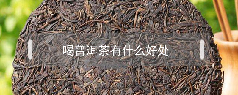 喝普洱茶有什么好处