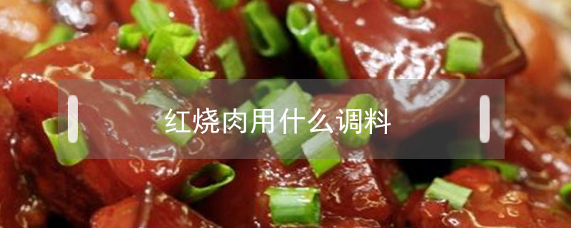 红烧肉用什么调料