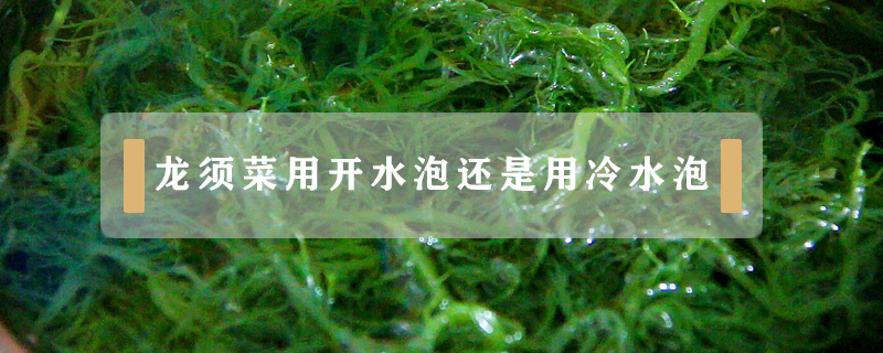 龙须菜用开水泡还是用冷水泡