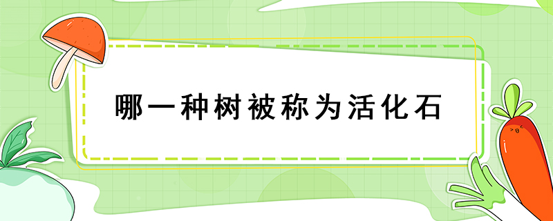 哪一种树被称为活化石