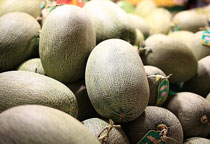 哈密瓜是什么季节的水果，有哪些品种