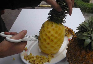 菠萝怎么种植 菠萝的室内种植方法