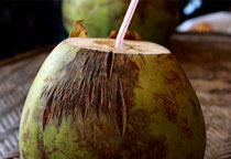 椰子的营养价值，椰子的功效与作用