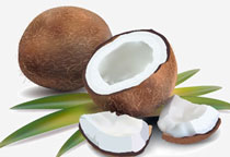 椰子粉的功效与作用，椰子粉的副作用