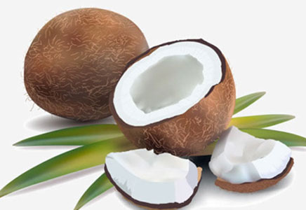 椰子粉的功效与作用，椰子粉的副作用