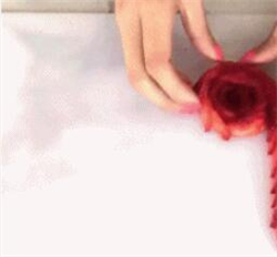 水果玫瑰花制作方法 简单好看的水果玫瑰花(图解