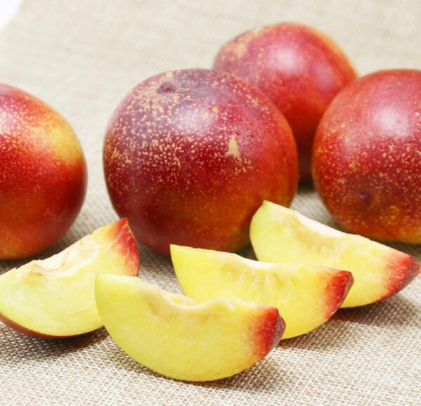 油桃的功效与作用 油桃的营养价值