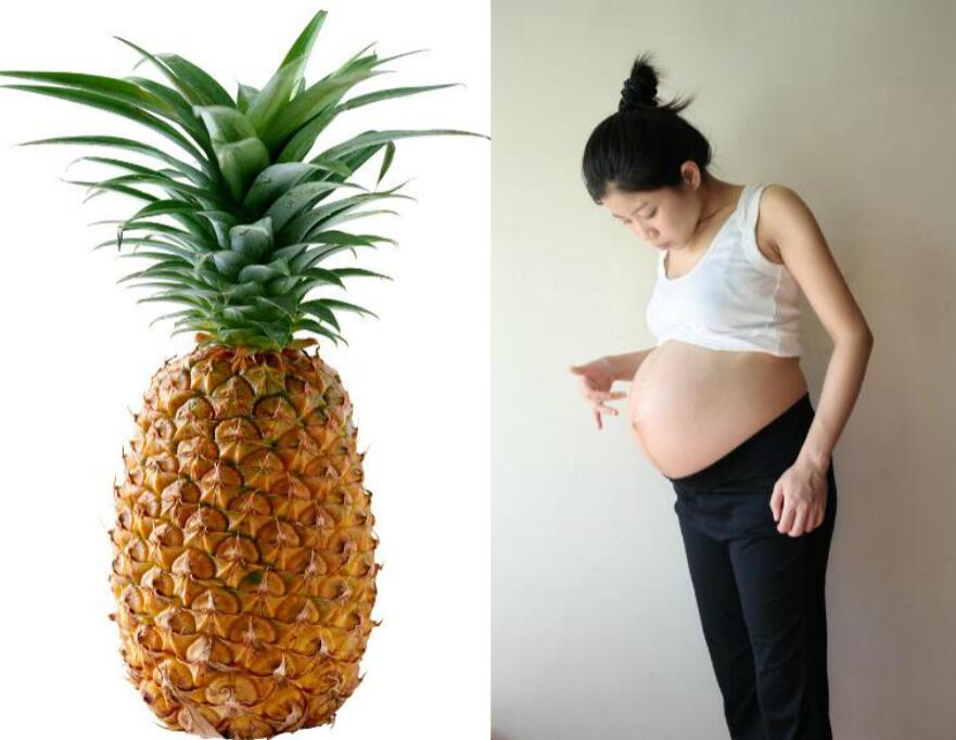 孕妇可以吃菠萝吗 菠萝长在树上还是地上